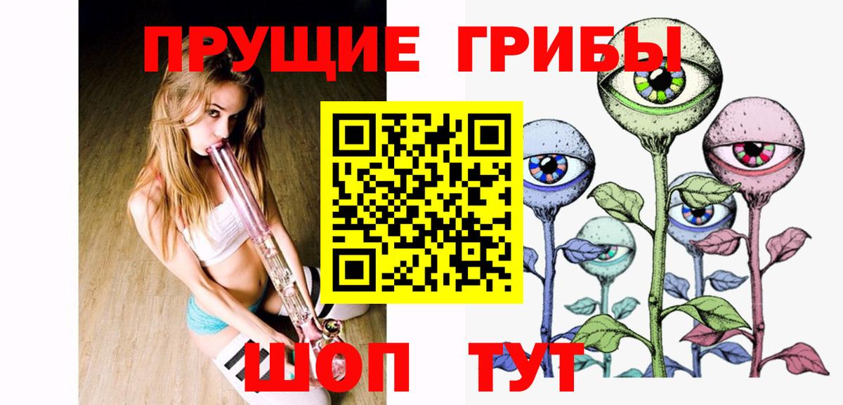 Галлюциногенные грибы Cubensis Нижний Новгород